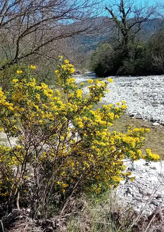 Où se baigner à Nyons ? Le ruisseau de la Sauve, un coin frais même en été