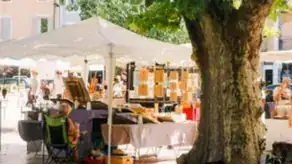 Illustration — Top 5 des marchés provençaux autour de Nyons à ne pas manquer