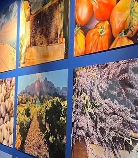 Panneaux du parcours découverte montrant des ingrédients, des cultures et des paysages provençaux.