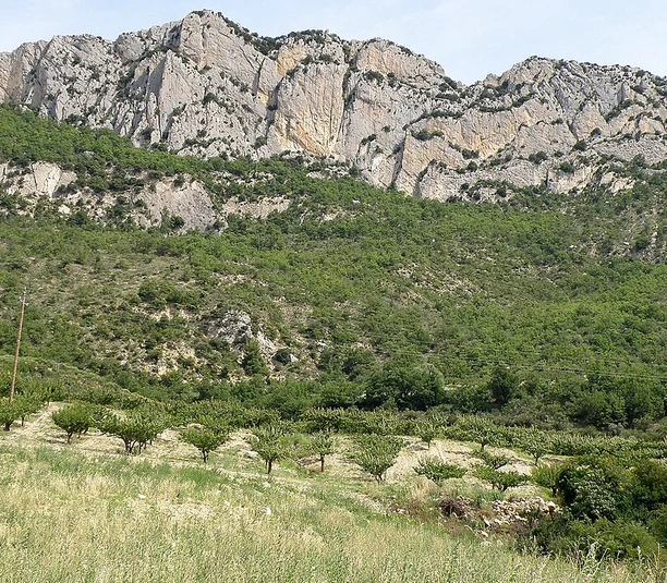 Grande falaise calcaire du Rocher Saint-Julien à Buis-les-Baronnies, dominant une végétation méditerranéenne et des arbres fruitiers.