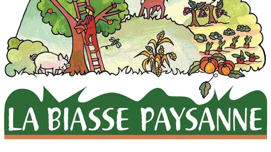 Illustration — Biasse Paysanne à Nyons