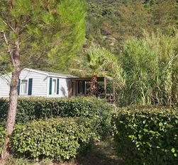 Mobil-home entouré de pins, de haies et de végétation au Camping Les Clos à Nyons.