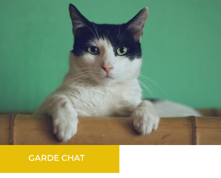 Chat noir et blanc, les pattes posées sur un dossier en bois, avec la mention « Garde chat ».
