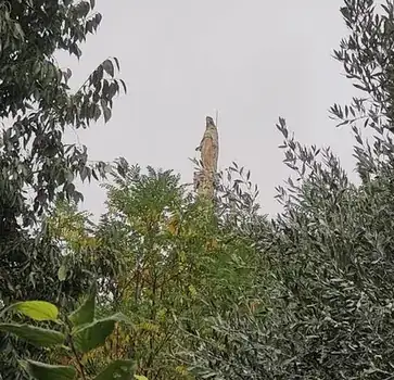 Notre-Dame-de-Bon-Secours au sommet de la Tour Randonne dominant le vieux Nyons dans la Drôme provençale.
