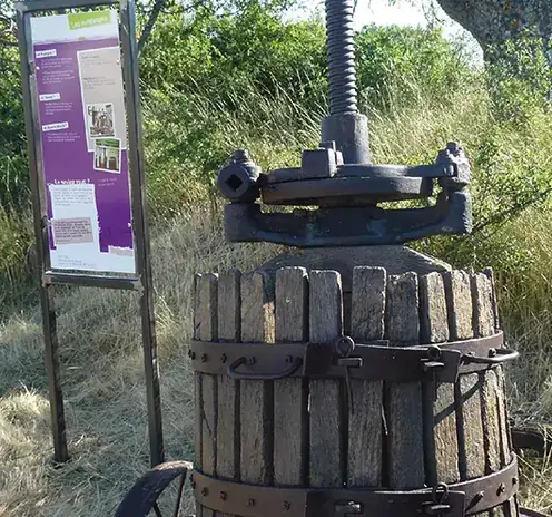 Illustration — Avis et Itinéraire : 4 Distilleries de Lavande à Visiter en Famille