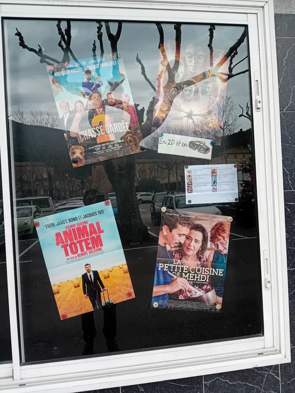 Vitrine présentant plusieurs affiches de films devant le cinéma L’Arlequin à Nyons.