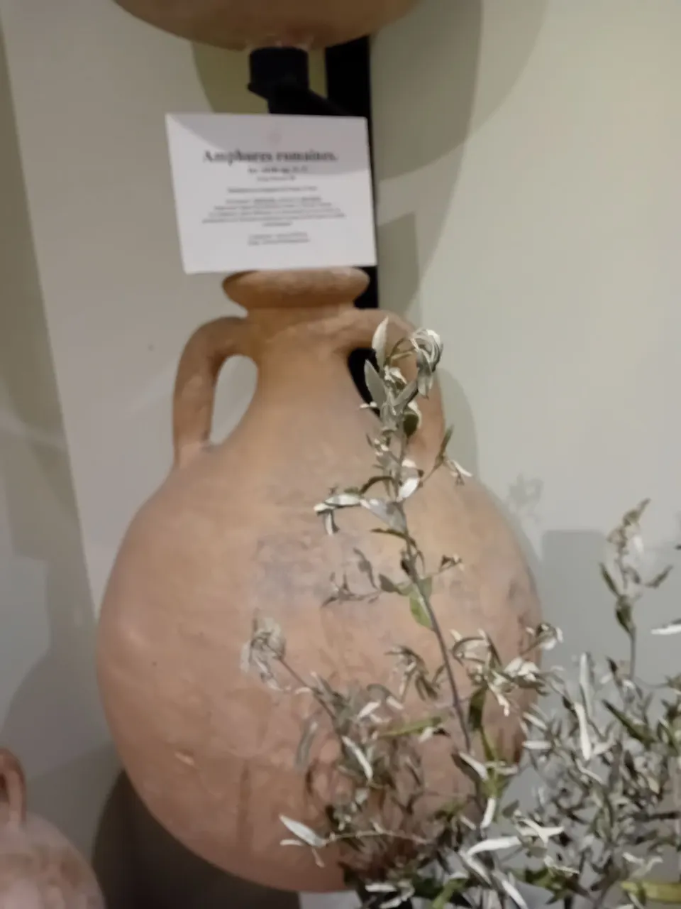 Jarre à huile d'olive DE NYONS