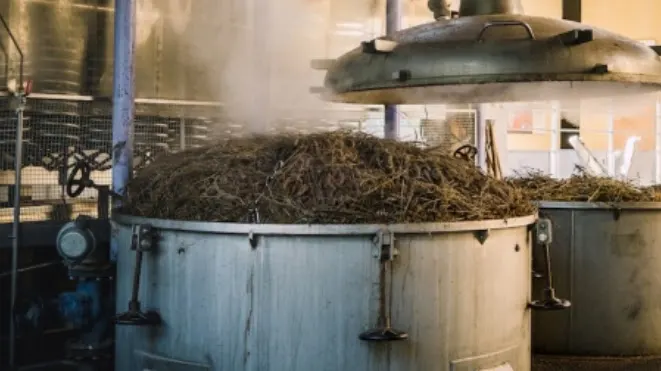 Cuve ouverte remplie de plantes et vapeur à la Distillerie Bleu Provence à Nyons.
