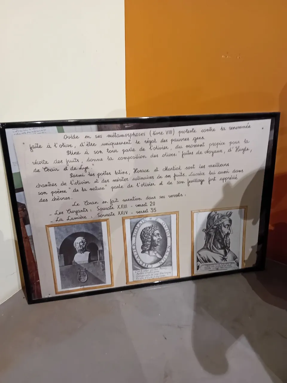 panneau explicatif sur l’olivier dans la littérature, la religion et la pensée antique