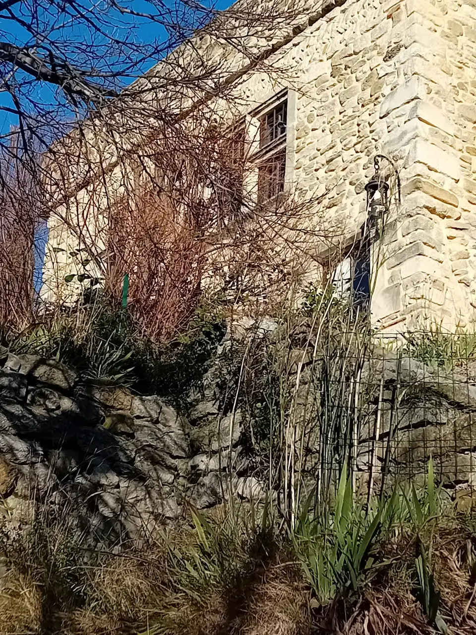 Façade en pierre et végétation sur les hauteurs du vieux Nyons