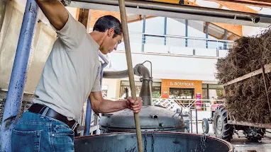 que faire voir la distillerie de lavande
