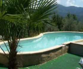 Piscine extérieure entourée de végétation, avec des palmiers et des collines en arrière-plan.