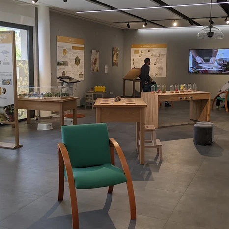 Salle de l’exposition Olive & Sens avec panneaux, tables de découverte et fauteuil vert.