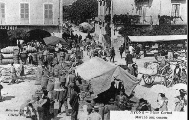 Marché aux cocons place Carnot à Nyons : foule autour des ballots, des étals couverts et des charrettes.