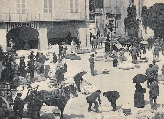 Ancien marché de Nyons, avec des marchands, des sacs et paniers, des passants et un attelage devant une pharmacie.