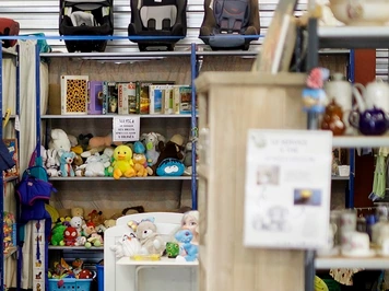 Rayons de jouets et de peluches d’occasion dans une ressourcerie.