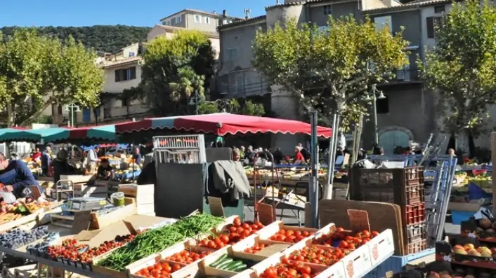 Étals de fruits et légumes du marché de Nyons, sous les parasols et les platanes.