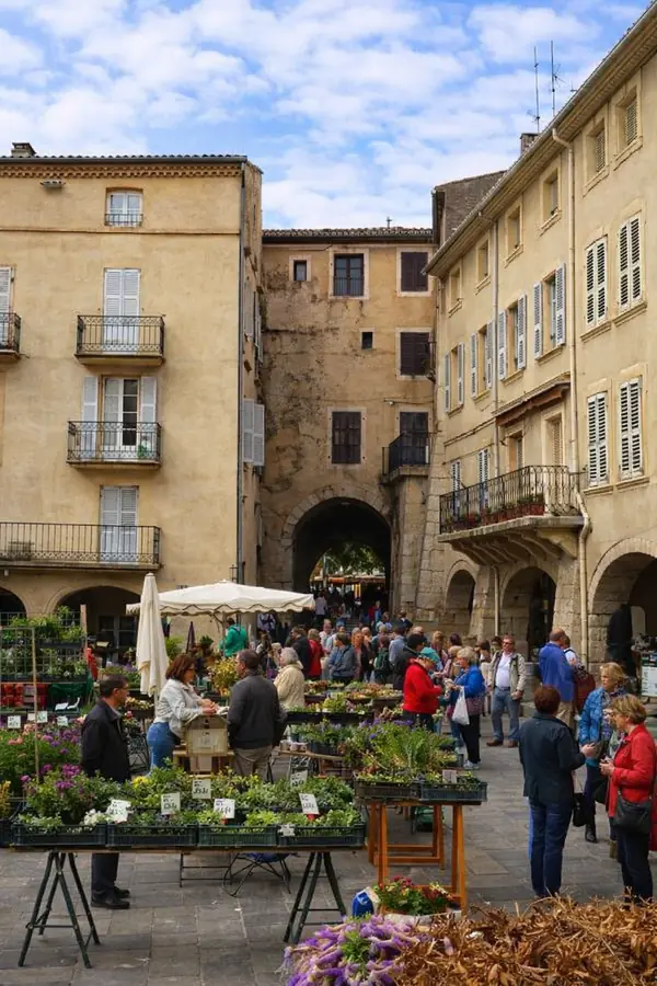Étals et visiteurs du marché du jeudi sur la place des Arcades à Nyons.