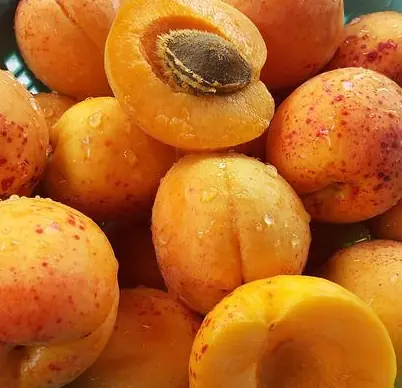 Abricots mûrs et abricot coupé montrant son noyau, au marché de Nyons.